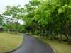 20080524_jcc3116_park_3 20080524_jcc3116_park_3